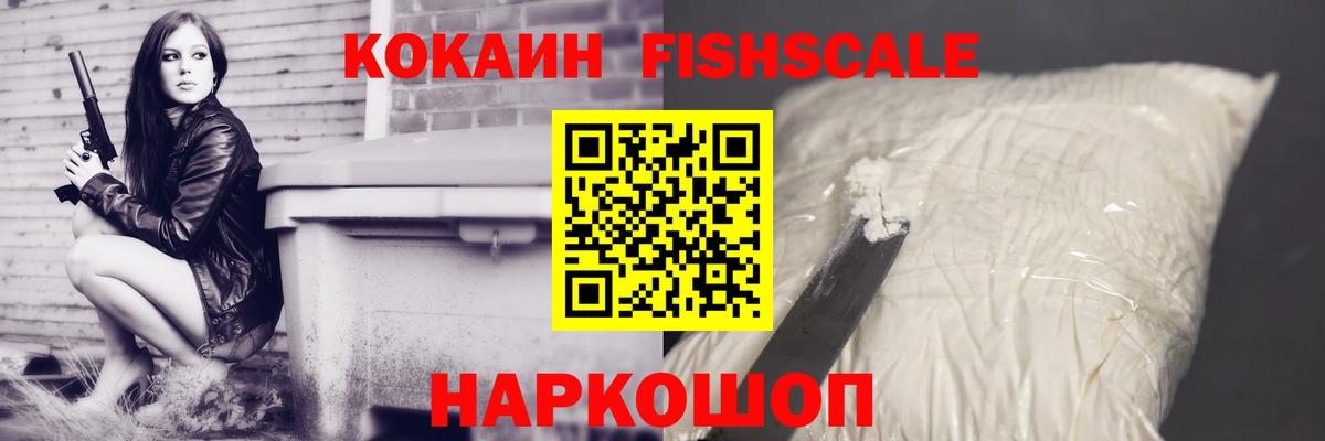 COCAIN Эквадор Семёнов
