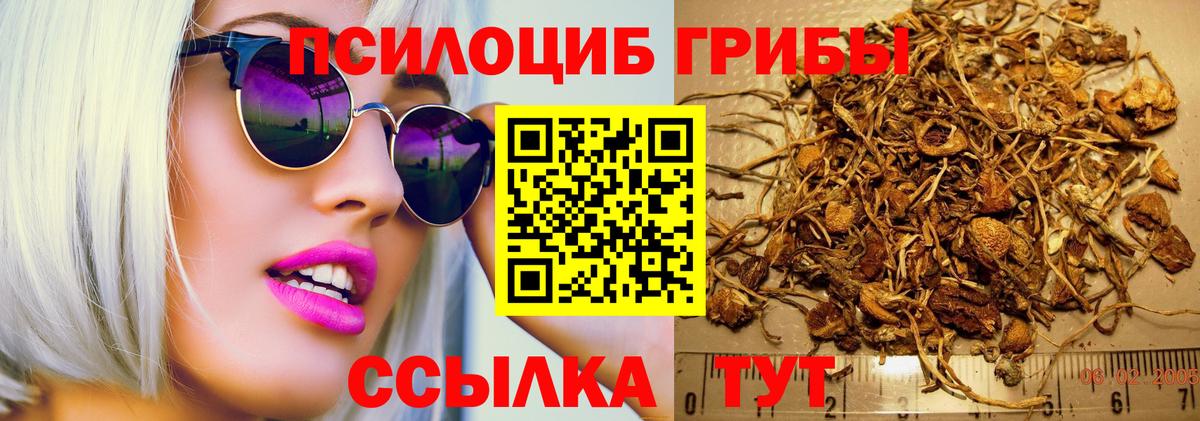 Псилоцибиновые грибы GOLDEN TEACHER  Вход с VPN  Семёнов 