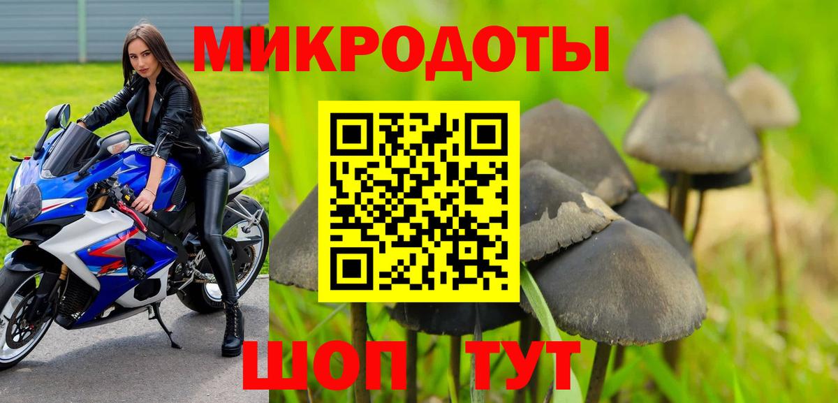 Псилоцибиновые грибы мухоморы Семёнов